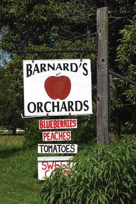 The Barnard's Orchards Sign