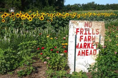 Welcome to No Frills Farm in West Cape May #1