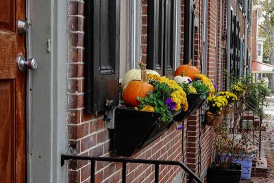 Row Homes in Autumn