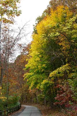 Autumn Color on the Struble Trail