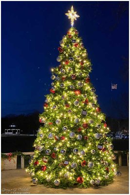Evening at the Downingtown Christmas Tree