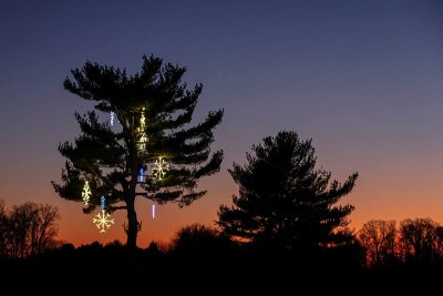 Sunset at the Herr's Christmas Lights Display