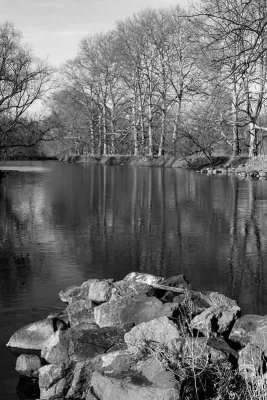 Branywine River Winter Reflections #2
