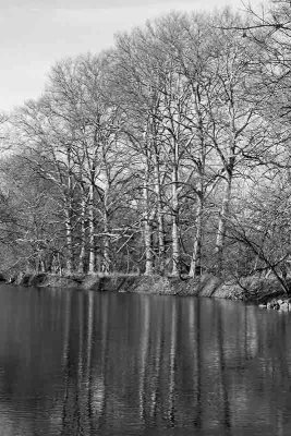 Branywine River Winter Reflections #1