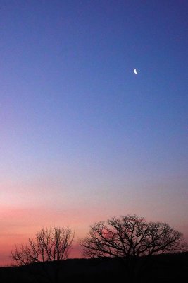 Crescent Moon at Sunrise