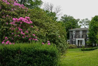 Rhodies and a Stately Home