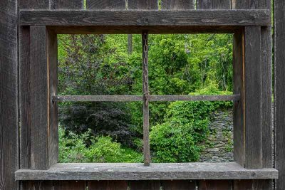 Window View of Summertime