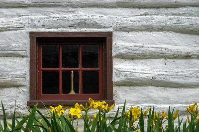 The Historic Log Cabin Window & Lilies