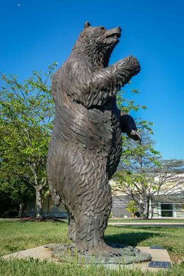 Grizzly Bear a sculpture by AJ Obara