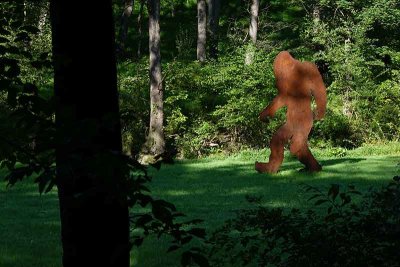 Beware Sasquatch is on the Loose #2 of 2