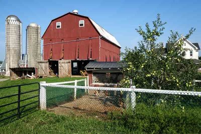 An Enterprising Amish Farm