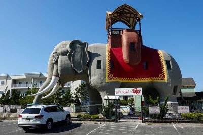 Lucy:  the World's Largest Elephant #2 of 2