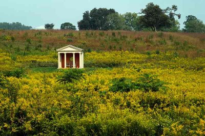 The Goldenrod Field Folly #1 of 3