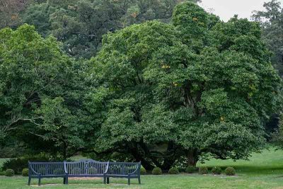 Walking Winterthur:  The Benches of Winterthur