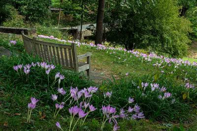 Walking Winterthur:  The Benches of Winterthur