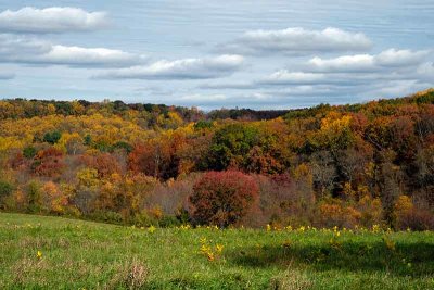 An Autumnal Chester County Vista