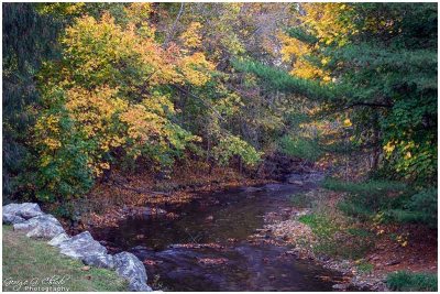 Autumn on the Brandywine