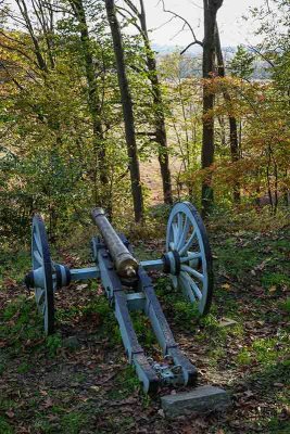 Hillside Cannon in Valley Forge National Park