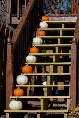 Stairway to Pumpkins!