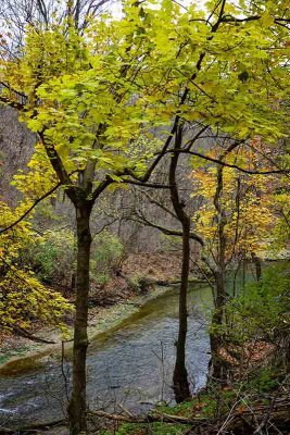 Late November Color by the Brandywine