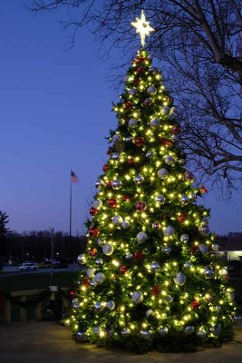 Downingtown's Christmas Tree at Dusk #7 of 7