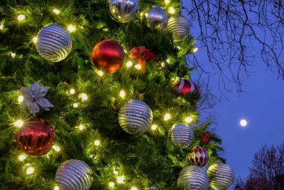 Full Moon & Christmas Tree at Dusk #2 of 2