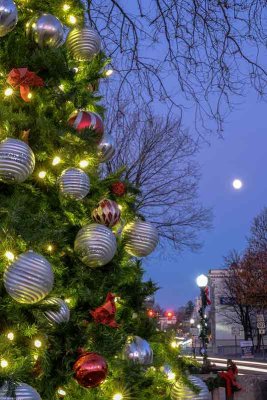 Full Moon & Christmas Tree at Dusk #1 of 2