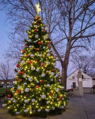 Downingtown's Christmas Tree at Dusk #6 of 5