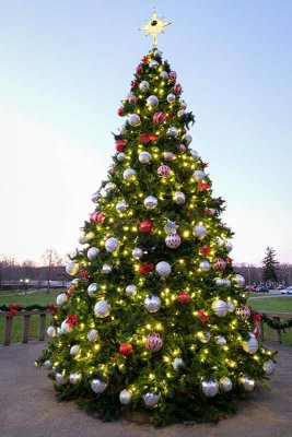 Downingtowns Christmas Tree at Dusk #5 of 7