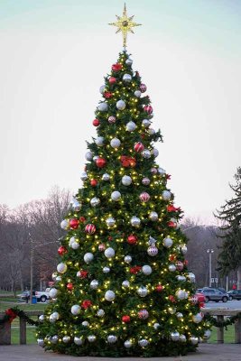Downingtown's Christmas Tree at Dusk #4 of 7