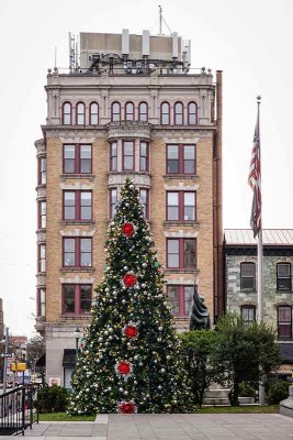 The West Chester Christmas Tree