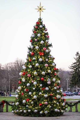 Downingtown's Christmas Tree at Dusk #3 of 7