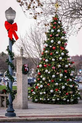 Downingtown's Christmas Tree at Dusk #2 of 7