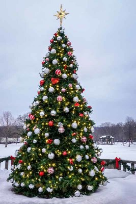 Downingtowns Christmas Tree & Gazebo in Snow