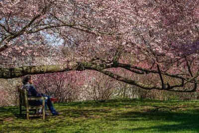 A Place to Sit