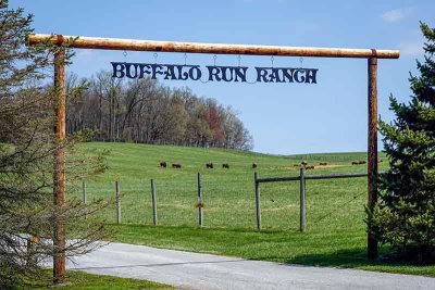 Buffalo Run Ranch in Doe Run