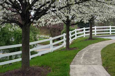 Sidewalk Spring Splendor