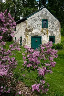 Springhouse & Lilacs