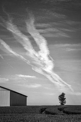 Wispy Clouds, Tree, and Barn