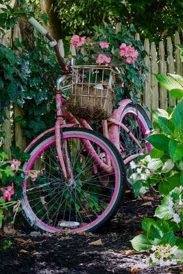 A Flower Bike