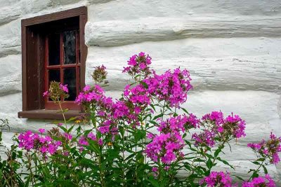 Log Cabin Corner Color