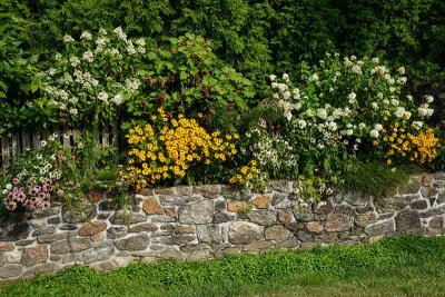 The Wall of Flowers