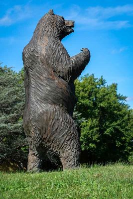 Grizzly Bear by A.J. Obara