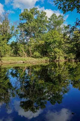Brandywine River Reflection
