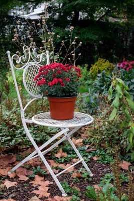 A Garden Chair
