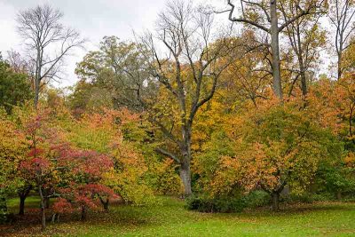 Autumn in Everhart Park #2 of 2