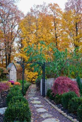Amish Garden in Autumn