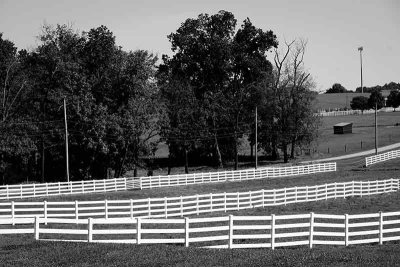 Palmer Performance Horses Fencing