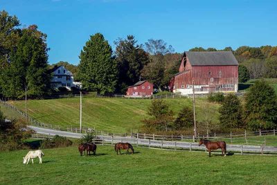 Just a Great Rural Chester County Scene