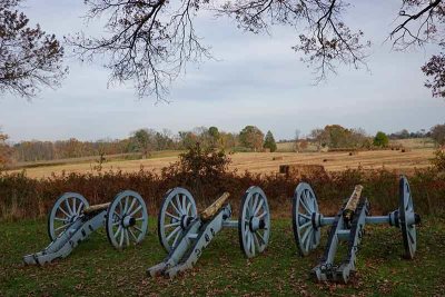 Autumn in Artillery Row at Valley Forge